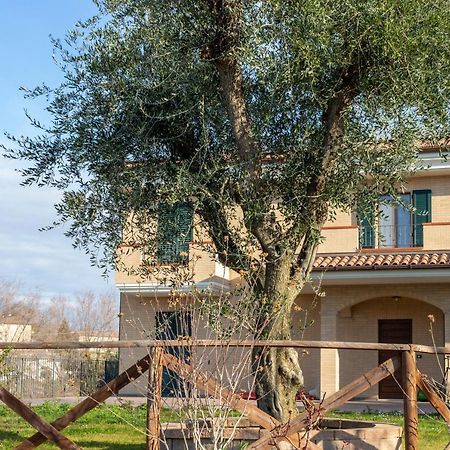 La Merlana Affittacamere Morrovalle Exteriér fotografie