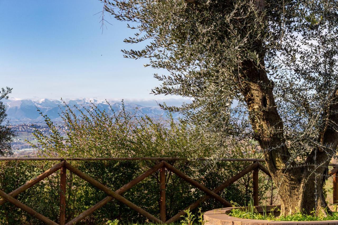 La Merlana Affittacamere Morrovalle Exteriér fotografie